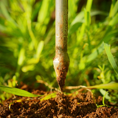 Leitura com penetrômetro em campo