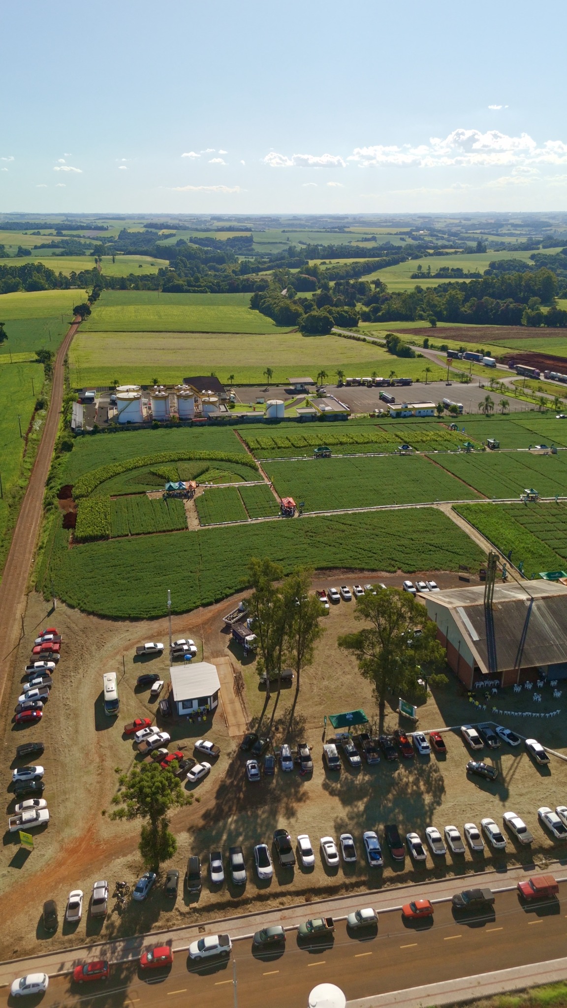 Vista aérea da área experimental